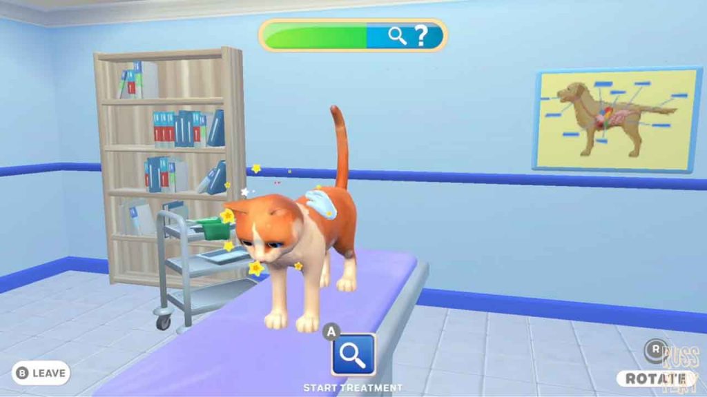 My-Universe-PET-CLINIC-CATS-&-DOGS-4