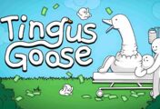 Агляд гульн Tingus Goose